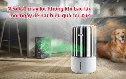 Nên bật máy lọc không khí bao lâu mỗi ngày để đạt hiệu quả tối ưu?