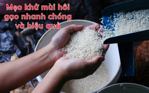 Mẹo khử mùi hôi gạo nhanh chóng và hiệu quả
