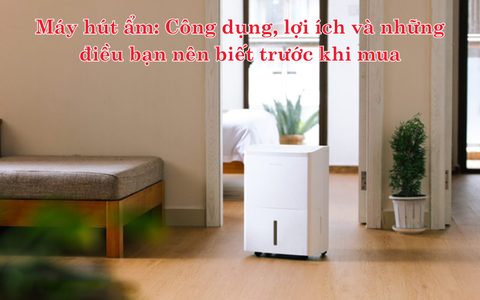 Máy hút ẩm: Công dụng, lợi ích và những điều bạn nên biết trước khi mua