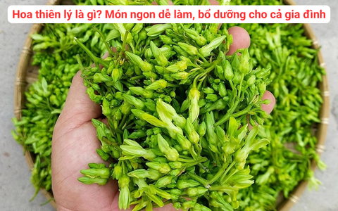 Hoa thiên lý là gì? Món ngon dễ làm, bổ dưỡng cho cả gia đình