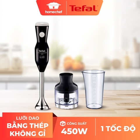 Máy xay sinh tố cầm tay Tefal HB4078 450W