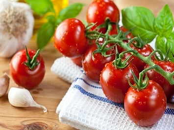 Các loại cà chua