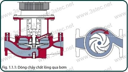 bơm ly tâm grundfos