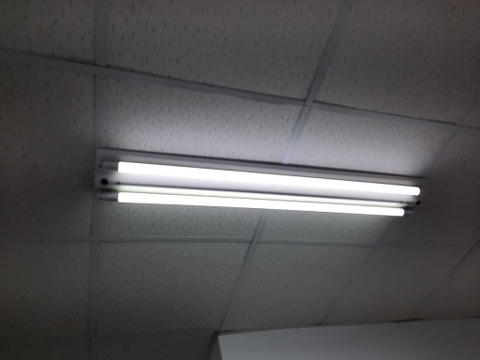 Bóng Huỳnh Quang Philips T8 TL-D 18W 1SL/25 Siêu sáng