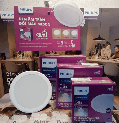 Đèn LED Âm Trần Philips Meson SSW 125 13W WH Recessed Khoét lỗ 125 mm