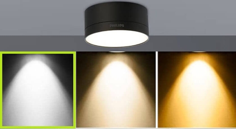 Đèn Led Ốp Trần Philips DL212 EC RD 080 5W W/B HV 03 Đường kính 80 mm