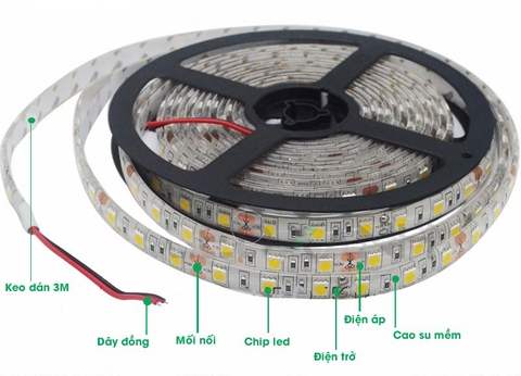 Đèn LED Dây Philips LS155 G3 LED12 12W 5M 24V - 60W/5M