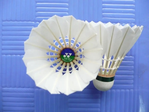 Cầu Yonex AEROSENSA 30 (AS 30)