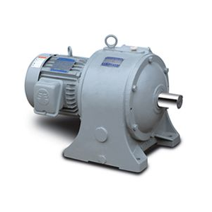 MÔ TƠ GIẢM TỐC KIỂU ĐỨNG - VERTICAL GEARED MOTOR