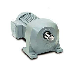 MÔ TƠ GIẢM TỐC ĐIỆN DÒNG - LINE POWER GEARED MOTOR