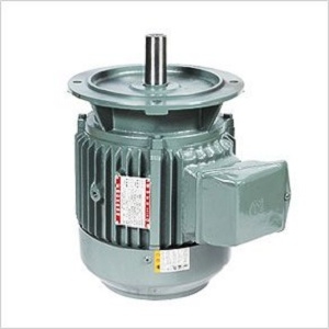 MOTOR ĐIỆN 3PHASE (FLANGE TYPE)