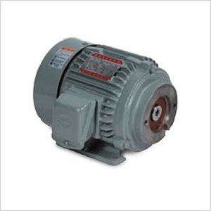 MOTOR ĐIỆN 3PHASE (FOR HYDRAULIC PUMP TYPE)
