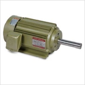 MOTOR ĐIỆN 3PHASE (FOR WOOD WORK)