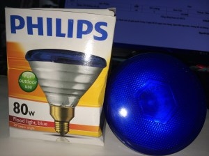 Bóng Bạc 80 xanh dương Philips