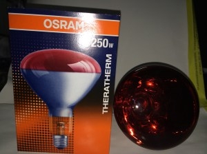 Bóng hồng ngoại 250 Osram