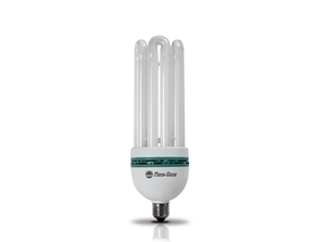 Bóng Compact 80W Rạng Đông trắng E40