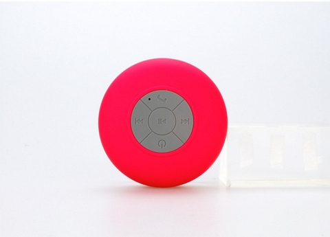 Loa Bluetooth VENUE AUDIO D6