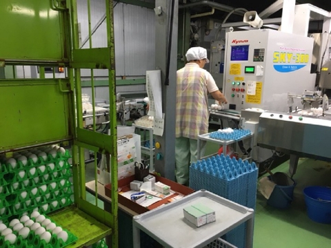 Đơn hàng kiểm tra chất lượng trứng