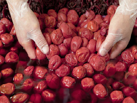 TUYỂN 3 NỮ  - CHẾ BIẾN THỰC PHẨM - Ô MAI MƠ MUỐI