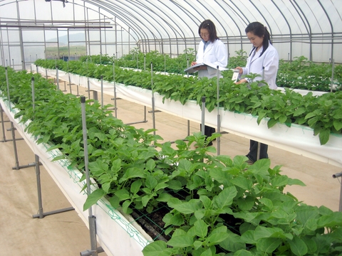 Đơn hàng Nông Nghiệp