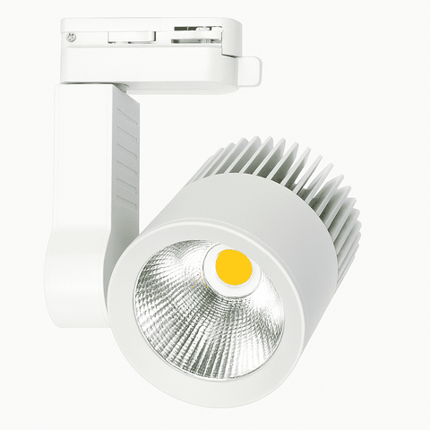 ĐÈN LED RỌI RAY BERYL 30W KINGLED DTL-30SS-V/TT/T-D
