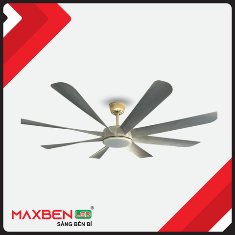 QUẠT TRẦN ĐÈN 8 CÁNH MAXBEN DQ-MB-M204-8-X/D/G