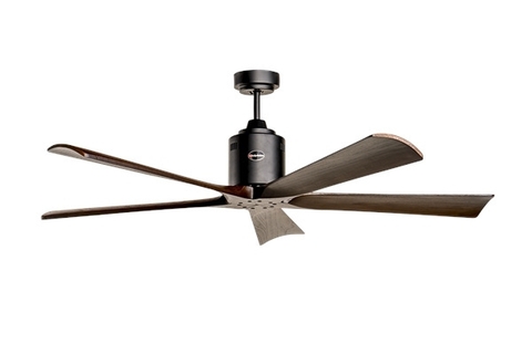 QUẠT TRẦN KAIYOKUKAN SHIGA 011 BK