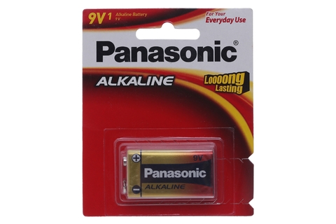 Pin Panasonic Đại D