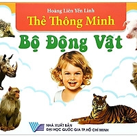 Thẻ thông minh: Quốc kỳ các nước Châu Phi