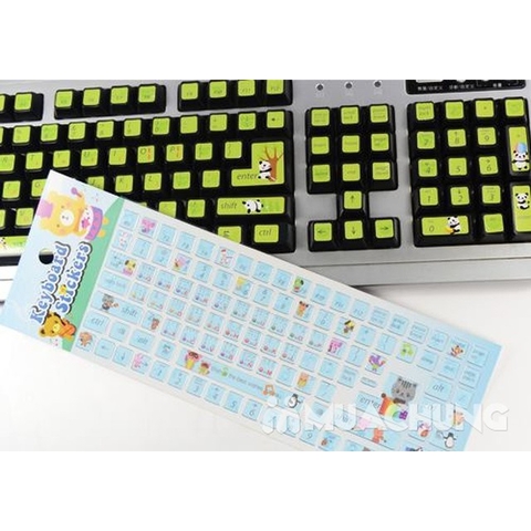 Decal bàn phím PK03 *8,2*