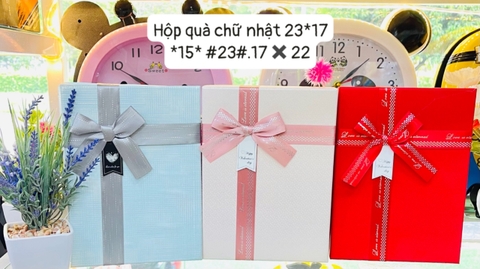Hộp quà chữ nhật YN2009 29x21 *46*
