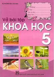 Sách bài tập lớp 5 (Bộ Giáo Dục và đào tạo) (12c)