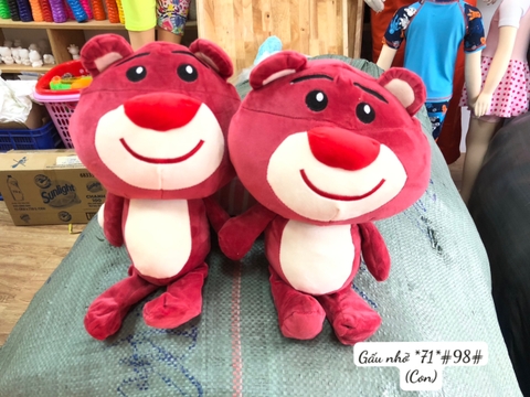 Gấu Nhỡ *71* (Con)