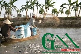 Nuôi trồng thủy sản: Những sáng kiến mang dấu ấn khoa học