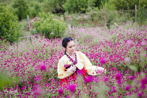 Studio chụp ảnh hanbok chuyên nghiệp tại Hà Nội