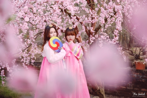 Chụp ảnh Hanbok – Niềm đa mê của giới trẻ