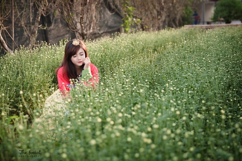 Trang phục truyền thống Hàn Quốc Hanbok