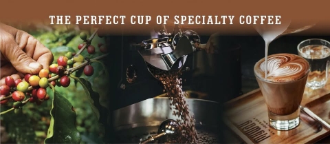 THE PERFECT CUP OF SPECIALTY COFFEE BEANS