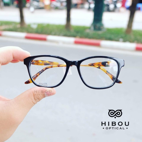 Gọng Kính Cận GD245