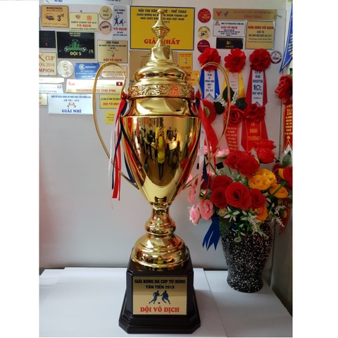Cúp chóp cao cấp