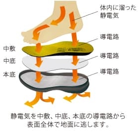 Giầy da Midori ACF 210