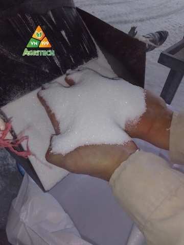 CÁT TRẮNG NHÂN TẠO