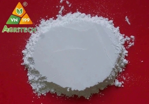 BỘT ĐÁ HÀ NAM