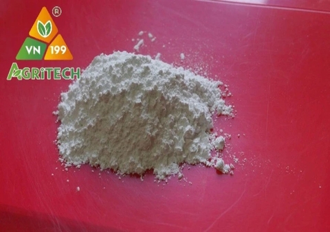BỘT ĐÁ THÔ