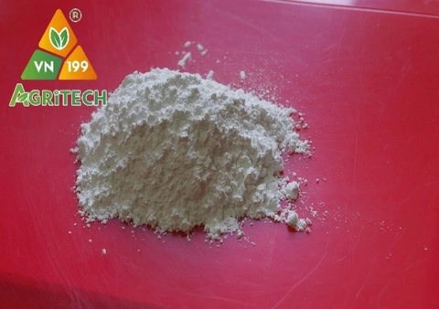 BỘT ĐÁ HÀ NAM