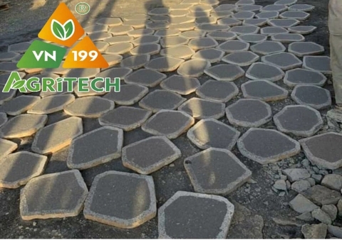 ĐÁ LÁT SÂN VƯỜN