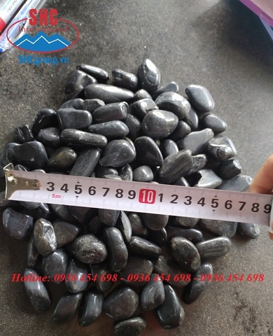 SỎI ĐEN NHÂN TẠO