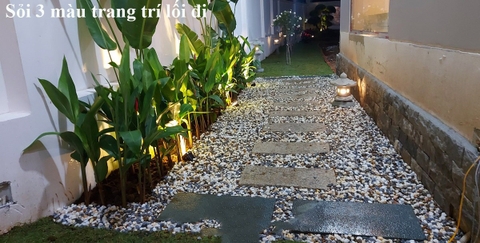 SỎI TỰ NHIÊN NHIỀU MÀU