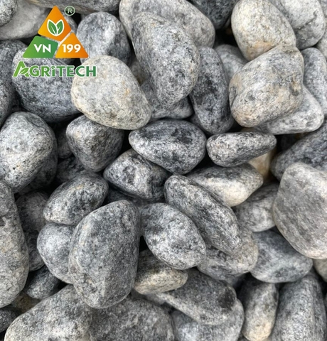 SỎI QUAY VÂN MÂY