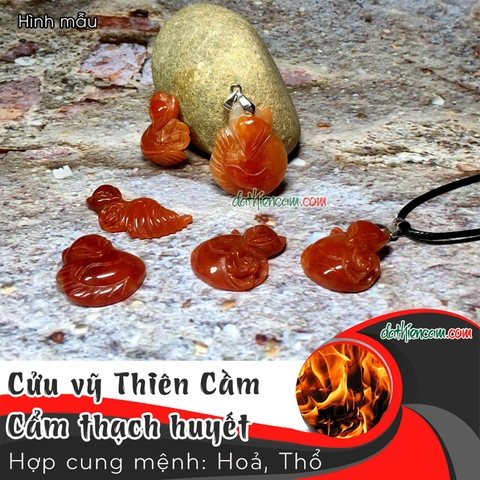 Hồ Tiên Cẩm Thạch Huyết